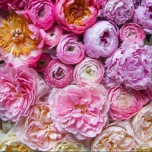 Meet your Posher, Courtney